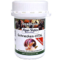 Preview: Aqua-Tropica Schnecken-VITAL Mineral, 40g
