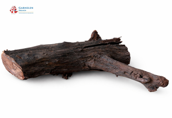 Preview: Mangroven Wurzel M