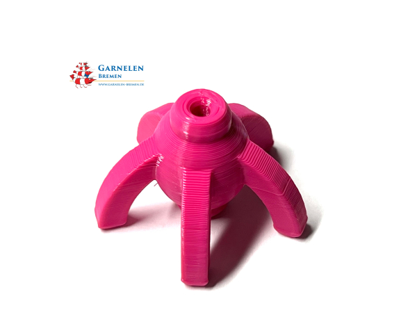 Shrimp Lolly Halter - Pink