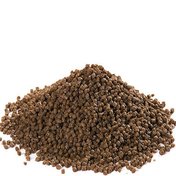 Aqua-Tropica Raubschnecken - VITAL, 35g